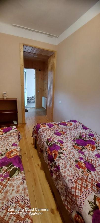 Guest House Sabauri Kazbegi Esterno foto