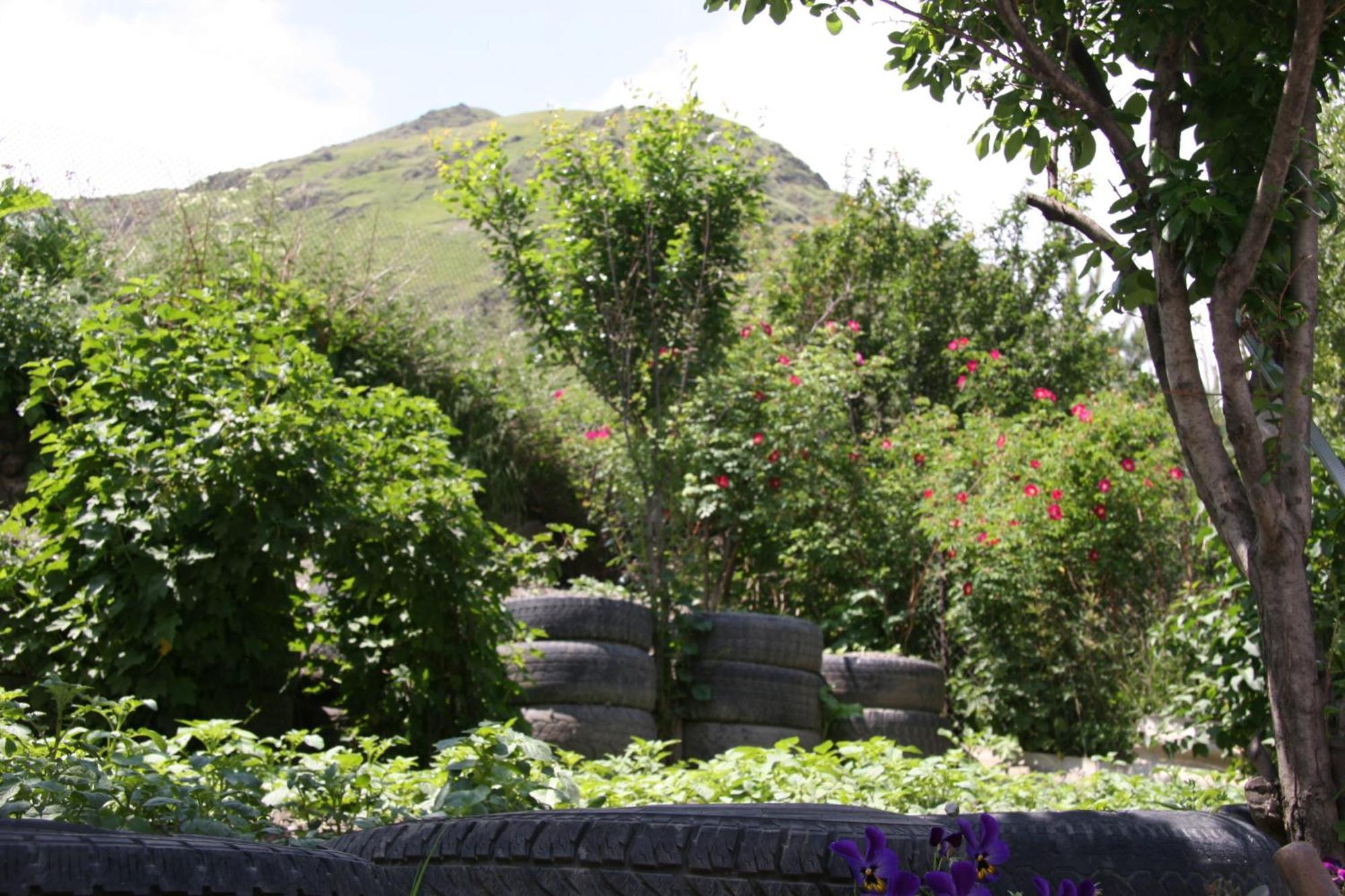 Guest House Sabauri Kazbegi Esterno foto